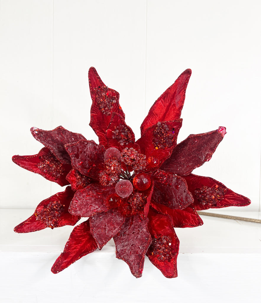 Floral XL Poinsettia Red