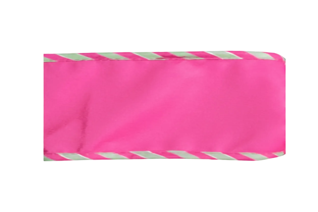 Pre-Order 2026-The Ba Bam Collection- Hot Pink 2.5""x 5Y Wired Double Faced Ribbon
